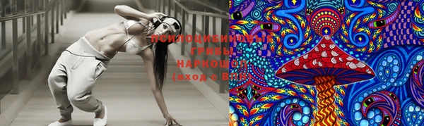 амф Богданович
